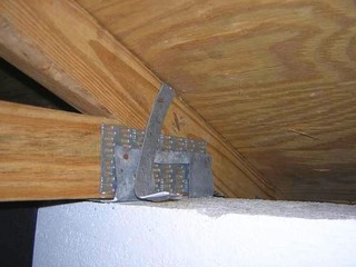 Roof strap photo